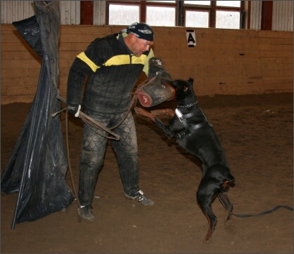 Training in Estonia 11/2007